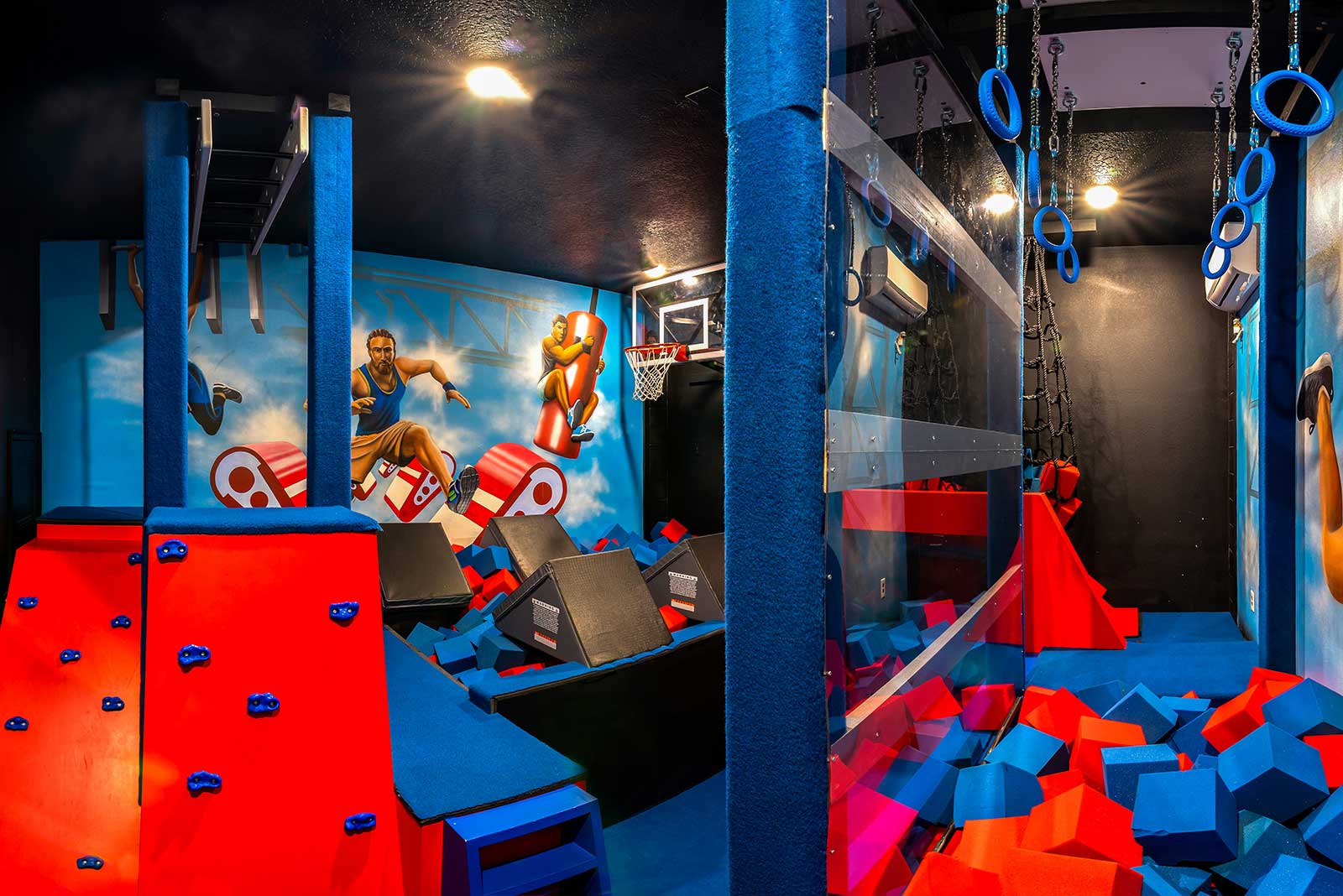 Ninja Warrior